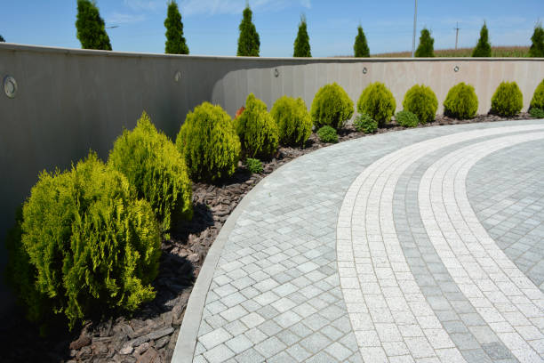 Best Affordable Driveway Pavers  in Cottonwood Shores, TX